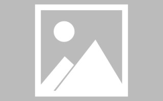 东莞龙江乐从网站建设（乐从和龙江）